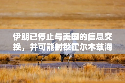 伊朗已停止与美国的信息交换，并可能封锁霍尔木兹海峡
