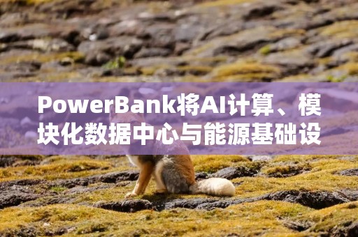 PowerBank将AI计算、模块化数据中心与能源基础设施定位为核心战略增长板块