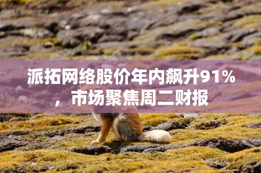 派拓网络股价年内飙升91%，市场聚焦周二财报