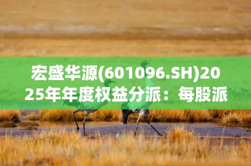 宏盛华源(601096.SH)2025年年度权益分派：每股派利0.0222元