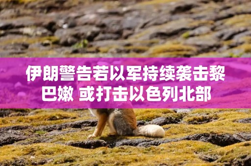 伊朗警告若以军持续袭击黎巴嫩 或打击以色列北部