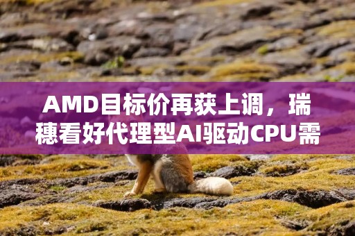 AMD目标价再获上调，瑞穗看好代理型AI驱动CPU需求爆发