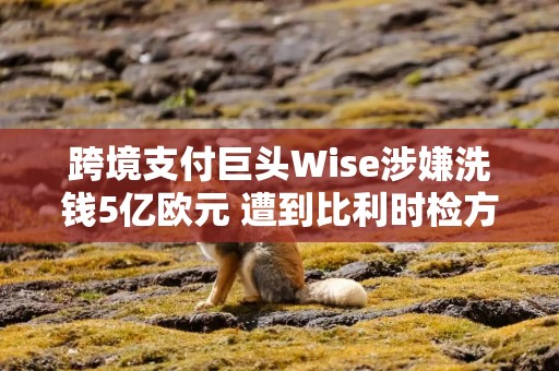 跨境支付巨头Wise涉嫌洗钱5亿欧元 遭到比利时检方调查