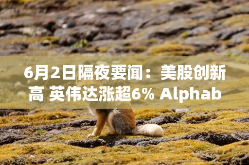 6月2日隔夜要闻：美股创新高 英伟达涨超6% Alphabet宣布800亿美元融资计划 特朗普称美伊或于一周内达成协议