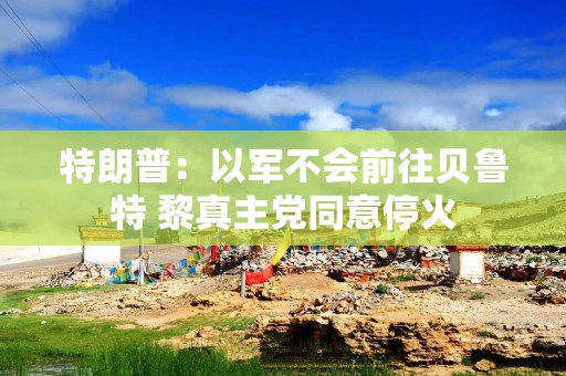 特朗普：以军不会前往贝鲁特 黎真主党同意停火