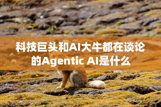 科技巨头和AI大牛都在谈论的Agentic AI是什么