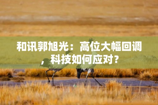 和讯郭旭光：高位大幅回调，科技如何应对？