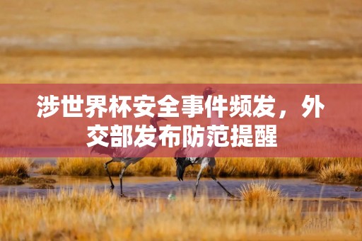 涉世界杯安全事件频发，外交部发布防范提醒