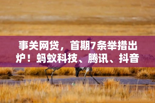 事关网贷，首期7条举措出炉！蚂蚁科技、腾讯、抖音等：严格执行
