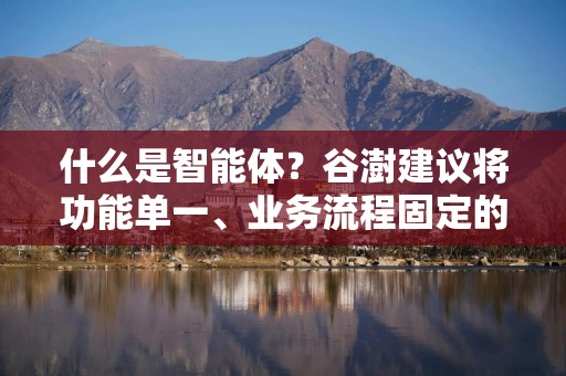 什么是智能体？谷澍建议将功能单一、业务流程固定的智能体做成“标准件”