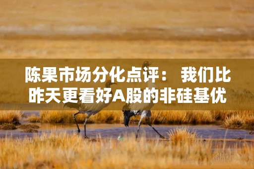 陈果市场分化点评： 我们比昨天更看好A股的非硅基优质资产