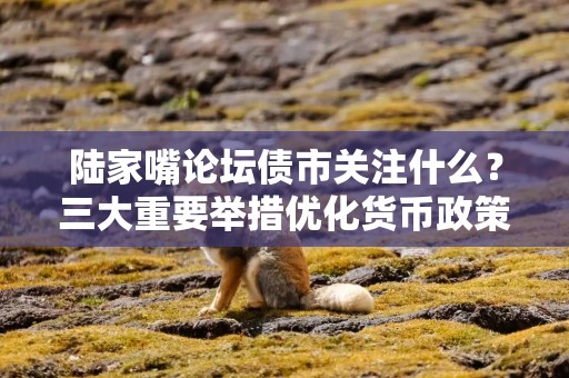 陆家嘴论坛债市关注什么？三大重要举措优化货币政策工具，平抑债市波动
