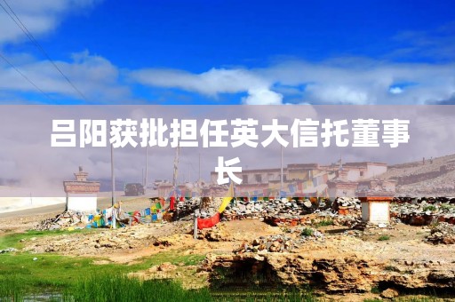 吕阳获批担任英大信托董事长