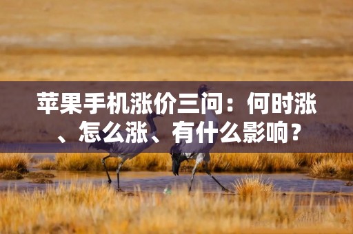 苹果手机涨价三问：何时涨、怎么涨、有什么影响？