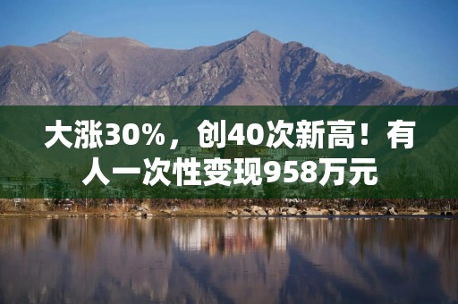大涨30%，创40次新高！有人一次性变现958万元