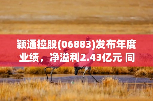 颖通控股(06883)发布年度业绩，净溢利2.43亿元 同比增加7.2%