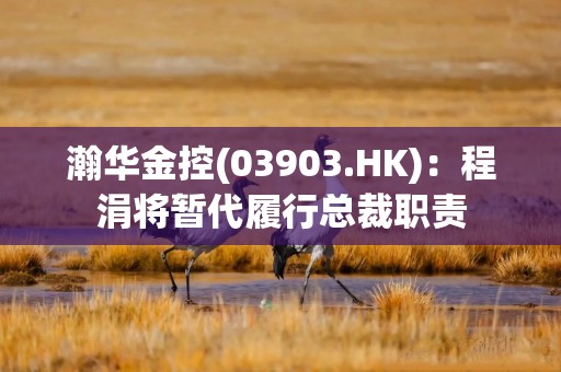 瀚华金控(03903.HK)：程涓将暂代履行总裁职责