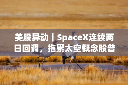 美股异动｜SpaceX连续两日回调，拖累太空概念股普跌