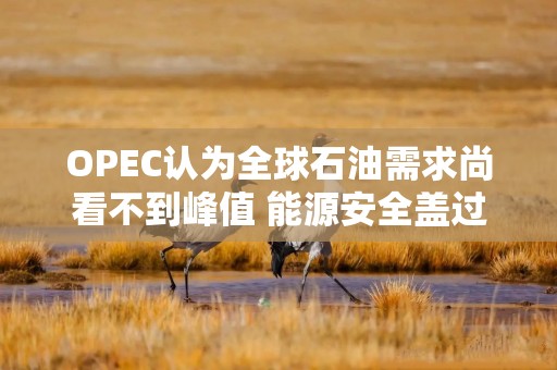 OPEC认为全球石油需求尚看不到峰值 能源安全盖过气候考量