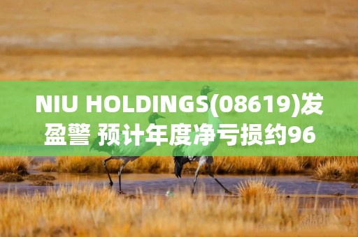 NIU HOLDINGS(08619)发盈警 预计年度净亏损约9600万至9900万港元