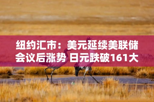 纽约汇市：美元延续美联储会议后涨势 日元跌破161大关