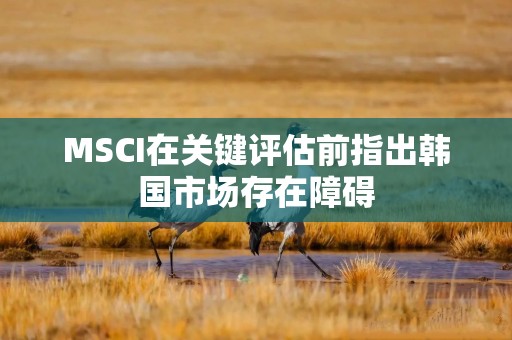 MSCI在关键评估前指出韩国市场存在障碍