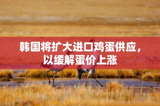 韩国将扩大进口鸡蛋供应，以缓解蛋价上涨