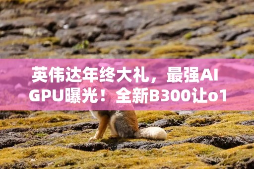 英伟达年终大礼，最强AI GPU曝光！全新B300让o1/o3推理性能上天算力爆表