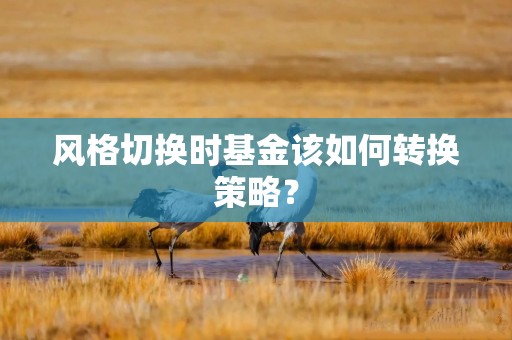 风格切换时基金该如何转换策略？