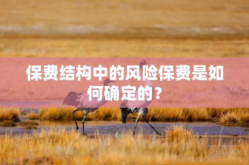 保费结构中的风险保费是如何确定的？