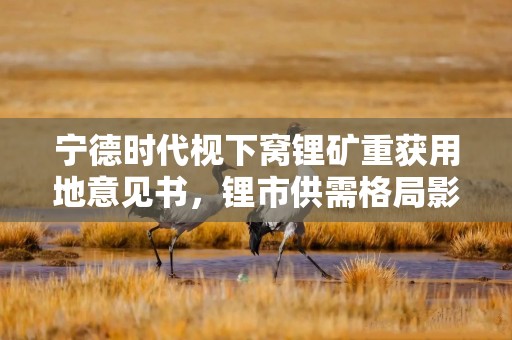 宁德时代枧下窝锂矿重获用地意见书，锂市供需格局影响几何？