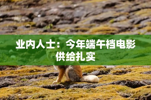 业内人士：今年端午档电影供给扎实