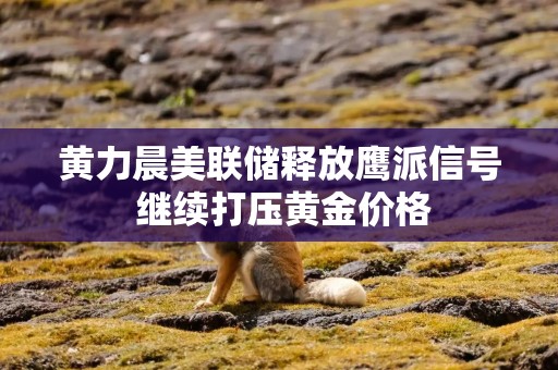 黄力晨美联储释放鹰派信号 继续打压黄金价格