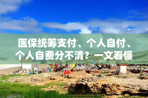 医保统筹支付、个人自付、个人自费分不清？一文看懂→