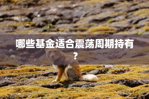 哪些基金适合震荡周期持有？