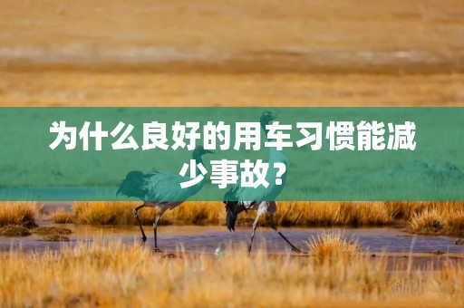 为什么良好的用车习惯能减少事故？
