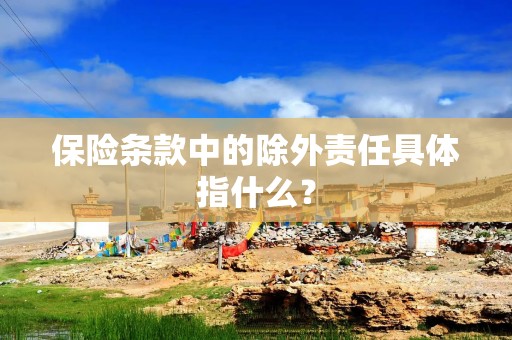 保险条款中的除外责任具体指什么？