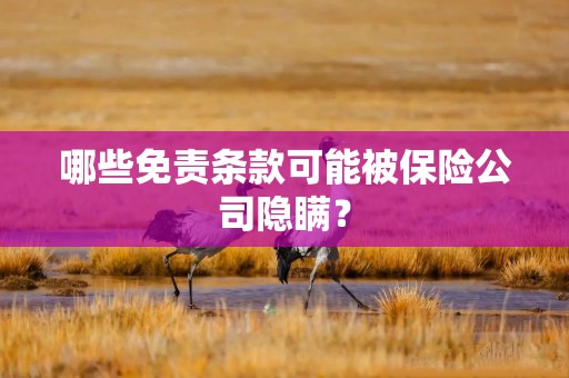 哪些免责条款可能被保险公司隐瞒？