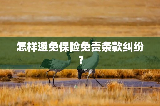 怎样避免保险免责条款纠纷？