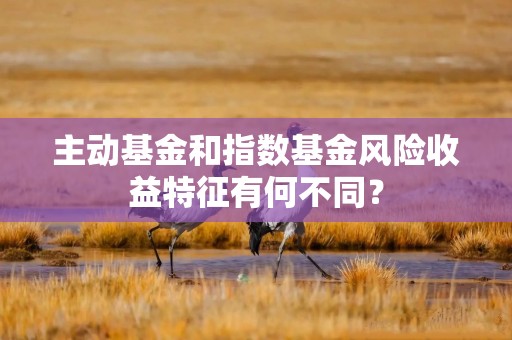 主动基金和指数基金风险收益特征有何不同？