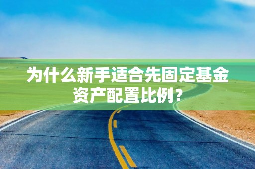 为什么新手适合先固定基金资产配置比例？