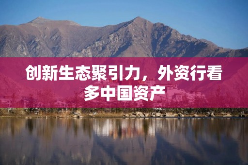 创新生态聚引力，外资行看多中国资产