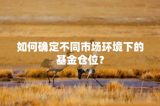 如何确定不同市场环境下的基金仓位？