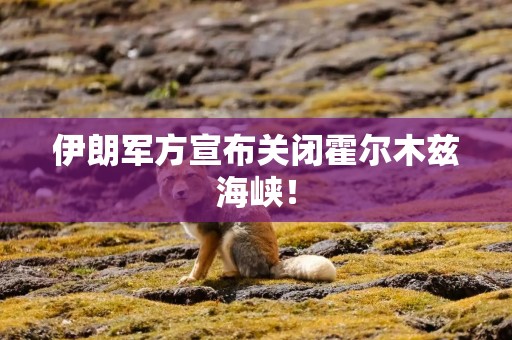 伊朗军方宣布关闭霍尔木兹海峡！