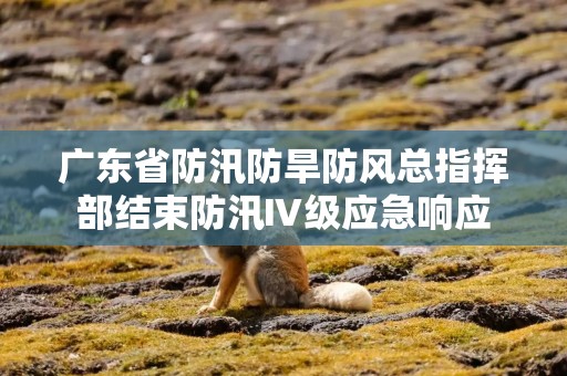 广东省防汛防旱防风总指挥部结束防汛Ⅳ级应急响应