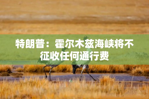 特朗普：霍尔木兹海峡将不征收任何通行费
