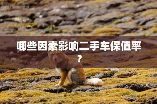 哪些因素影响二手车保值率？