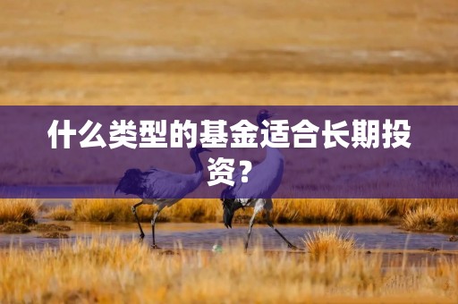 什么类型的基金适合长期投资？