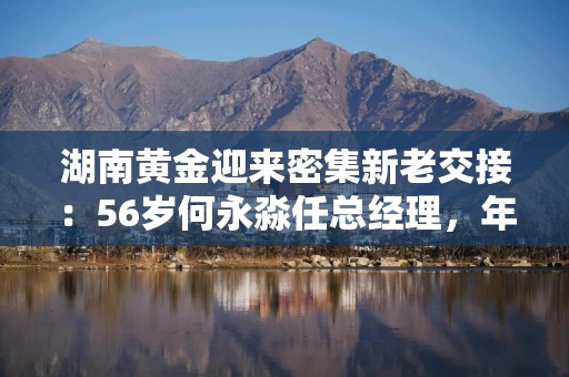 湖南黄金迎来密集新老交接：56岁何永淼任总经理，年薪超百万居高管首位