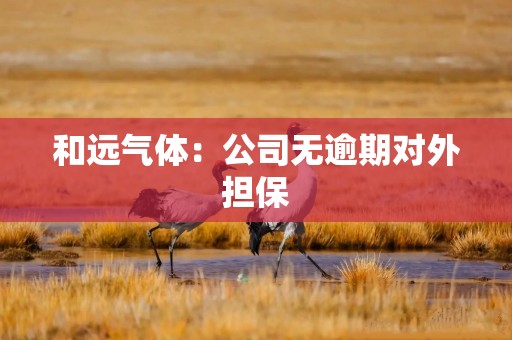 和远气体：公司无逾期对外担保